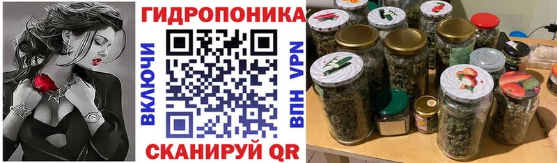 купить наркотик  Зима  Конопля Ganja 
